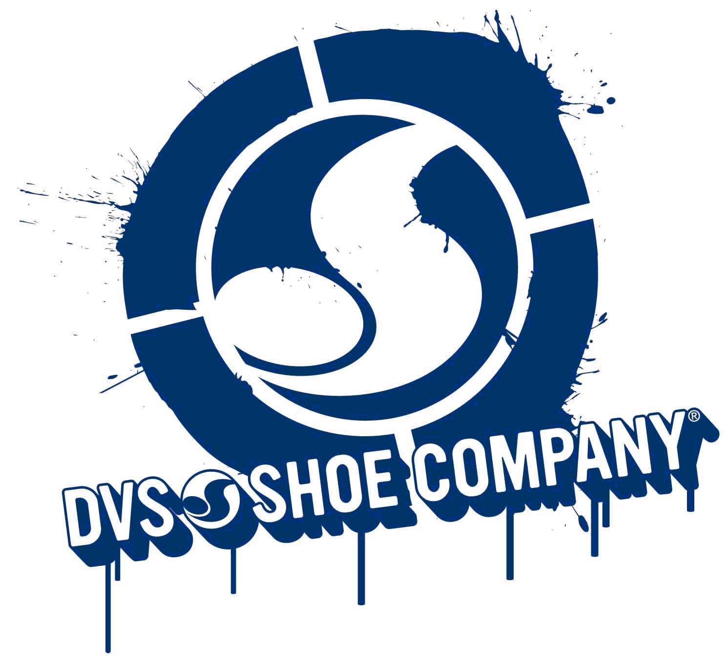 dvs_logo.jpg